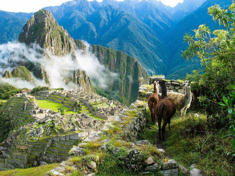 Navigating the Pathways: Your Journey to Machu Picchu with PeruWays