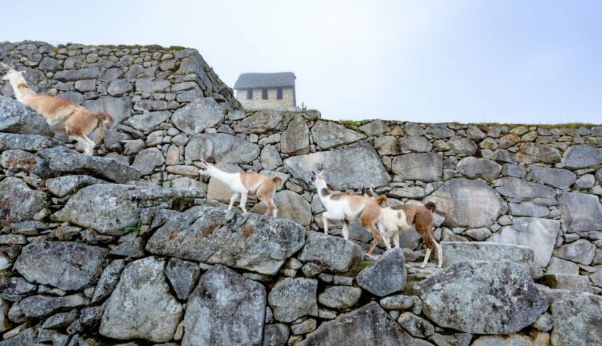 You are on the best way!