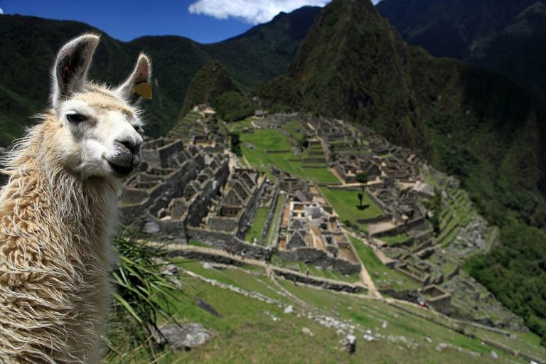 Your Machu Picchu Adventure: A Guide to Booking Tickets with Peruways