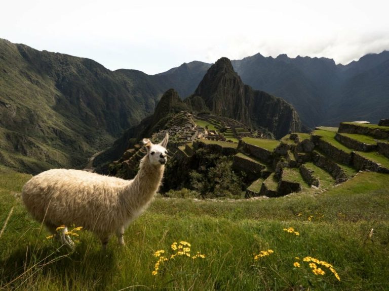 A Guide to Hotel Options at Machu Picchu