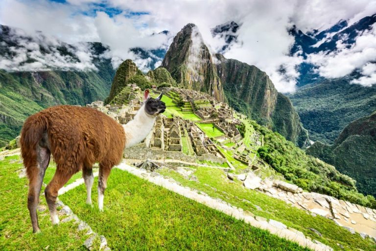 Timeless Adventure: Discover Machu Picchu with Peruways