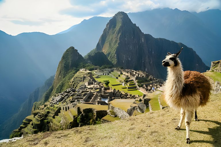 Ascending to New Heights: Conquer Machu Picchu Mountain and Embrace the Clouds
