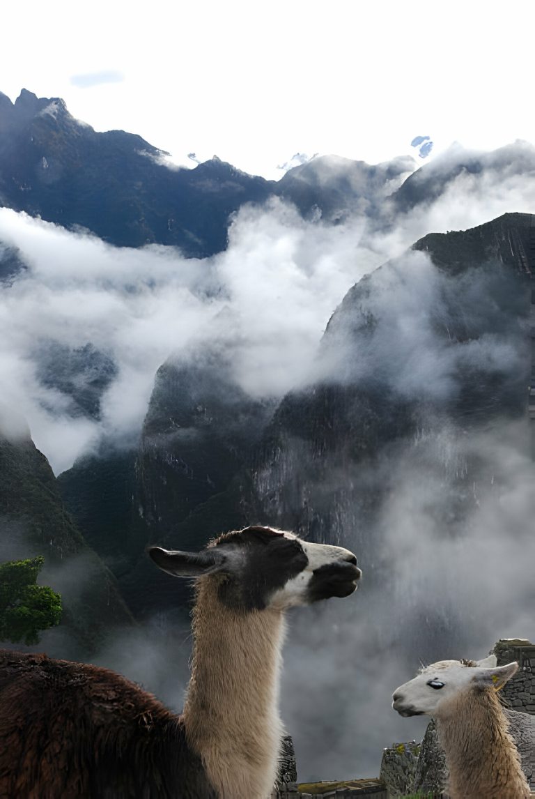 Lima to Machu Picchu Seamless Journey