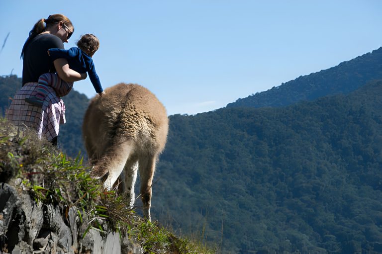 Exploring Machu Picchu with Your Little one: Essential Tips