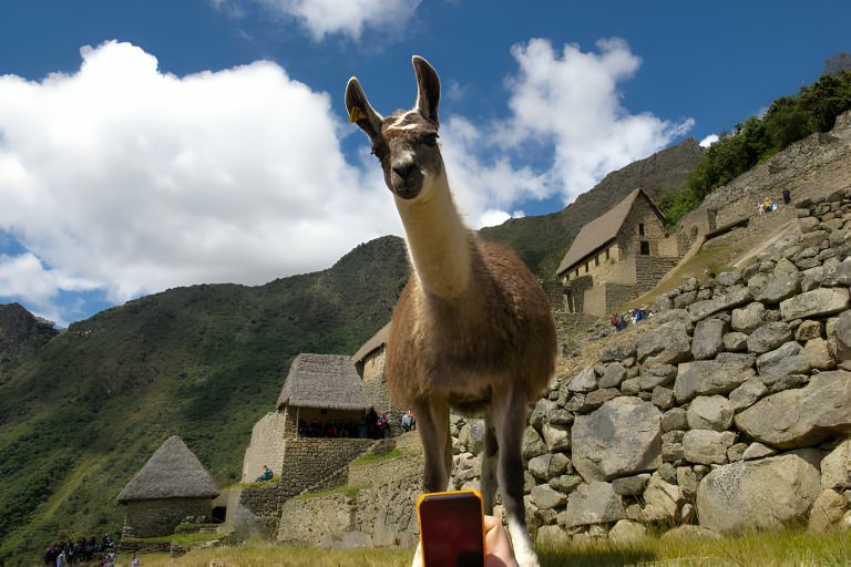 Explore the Majesty of the Sacred Valley with Peruways
