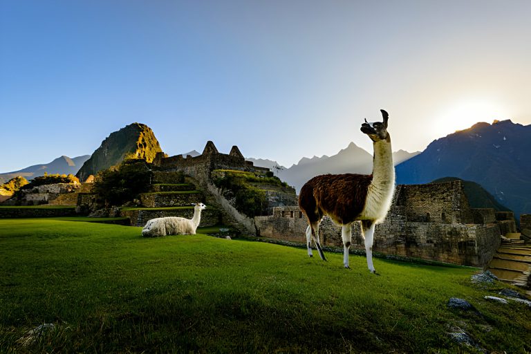 Week of Adventure from Cusco to Machu Picchu