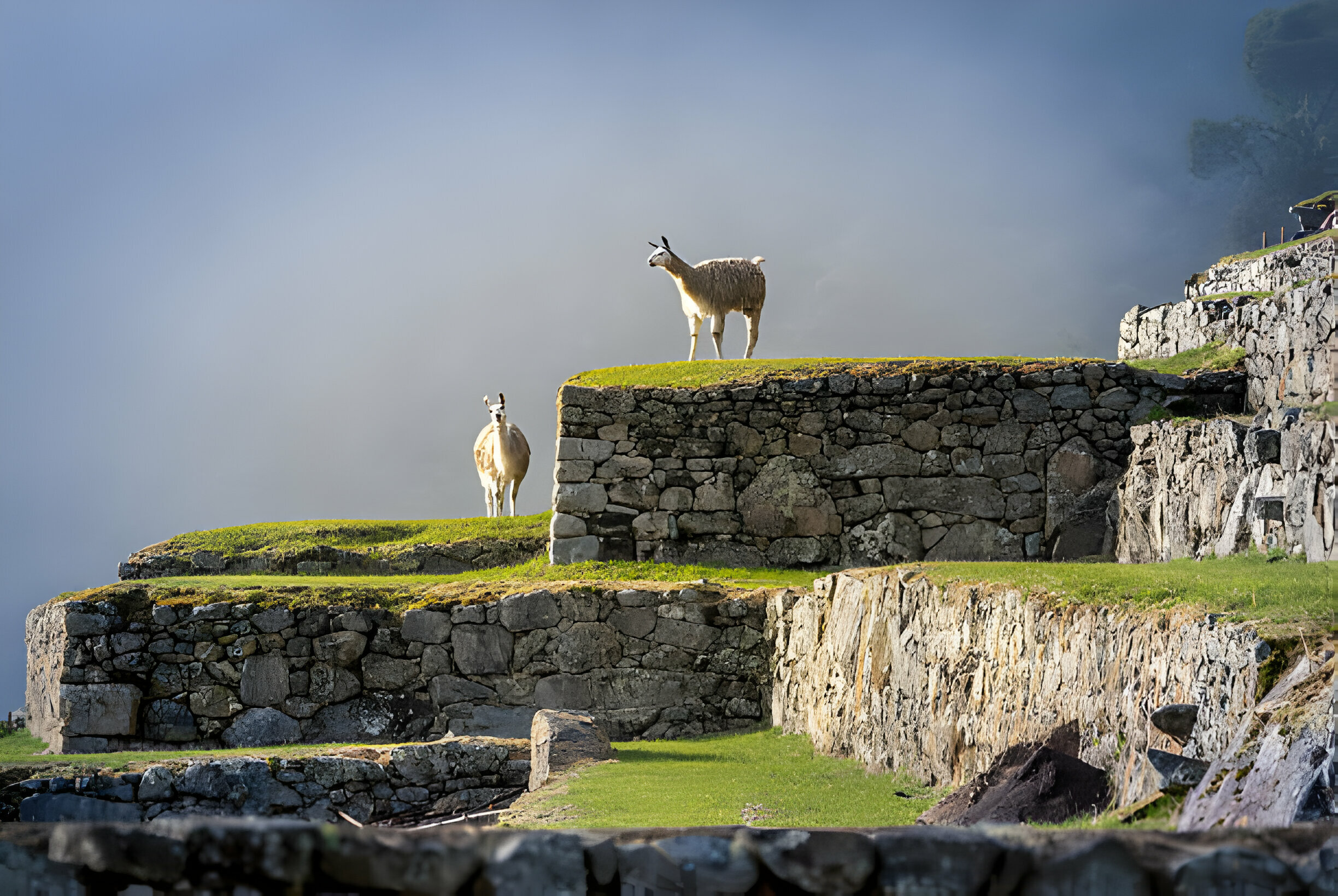 Exploring the Splendor of Cusco’s Sacred Valley with Peruways