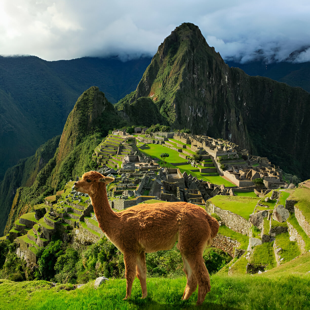 Discover the Majesty of Machu Picchu at High Altitude