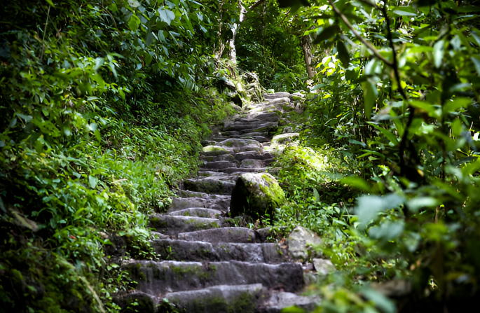 Climbing Machu Picchu’s Historic Stairs: An Epic Journey with Peruways
