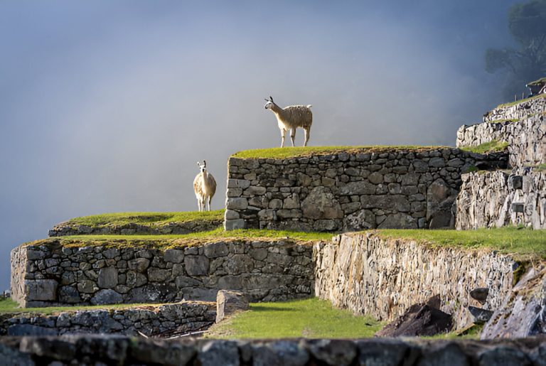 Discover the Wonders of Machu Picchu and the Sacred Valley