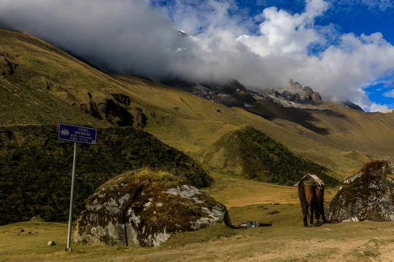 Understanding Machu Picchu’s Elevation: Crucial Details