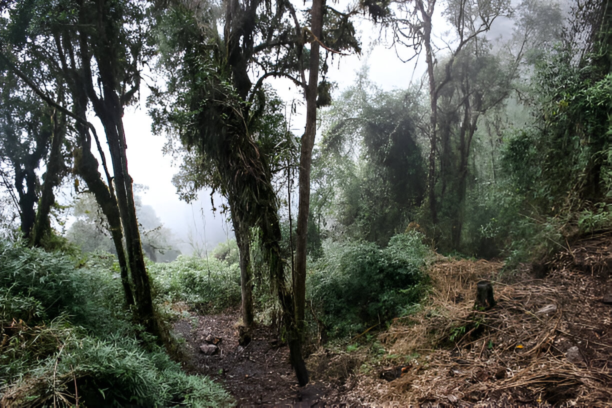 Investigating Cusco’s Elevation: Entryway to the Andes
