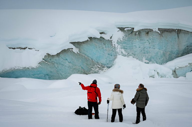 Tips for Booking the Best Guided Tours