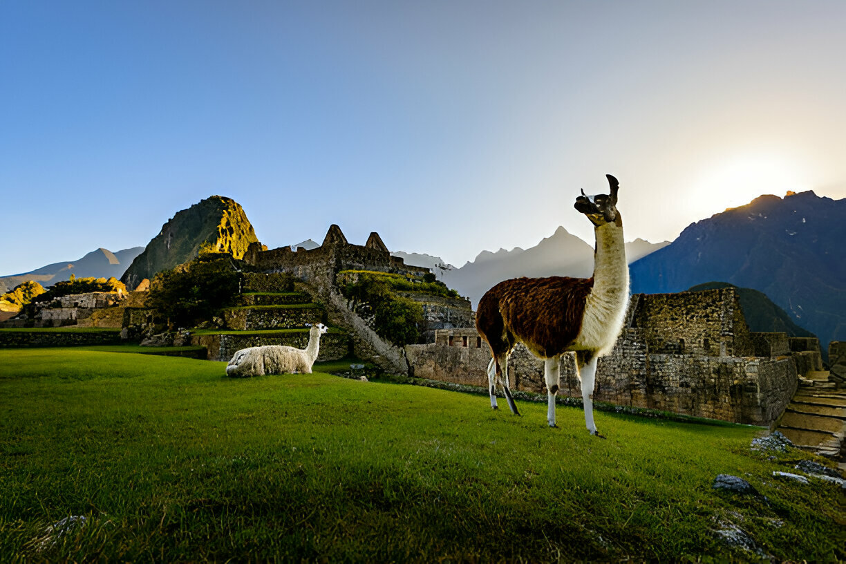 Machu Picchu Facts: The Hidden Gem of Peru
