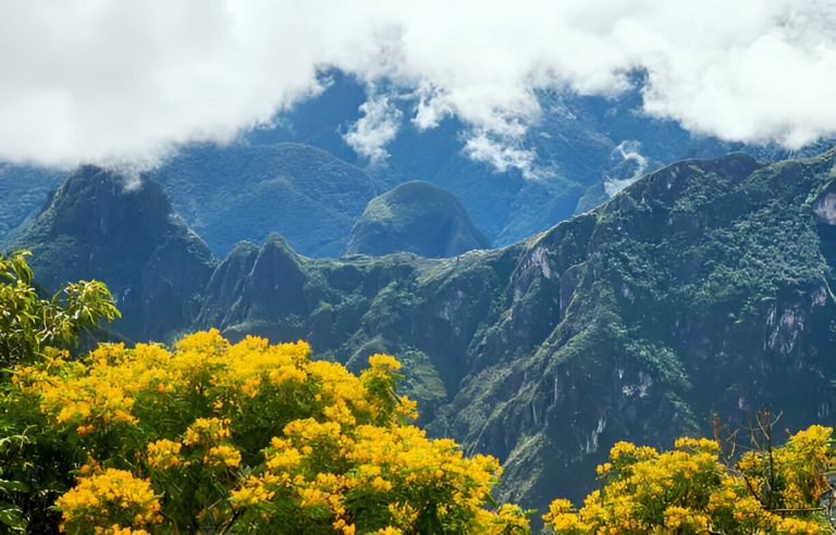 Salkantay Trek to Machu Picchu: A Stunning Alternative