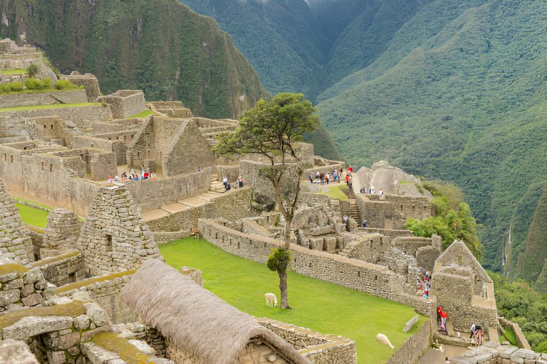 Machu Picchu Travel Restrictions: What You Need to Know