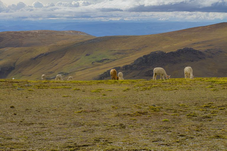 Discover the Wonders of Huchuy Qosqo Archaeological Site
