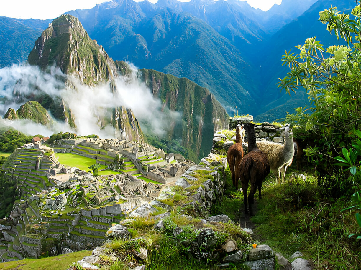 New Discoveries on the Inca Trail to Machu Picchu