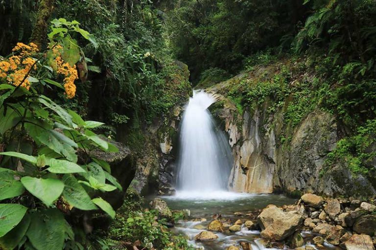 Discover Mandorpampa: A Hidden Gem in Machu Picchu