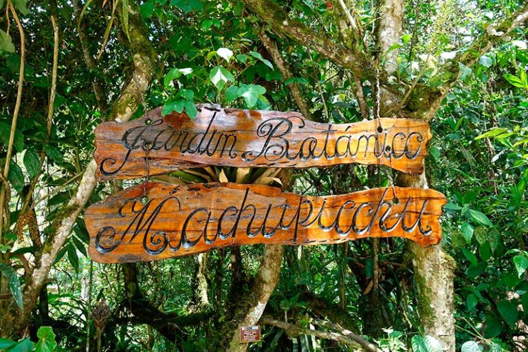 Botanical Garden of Machu Picchu: A Hidden Gem to Visit