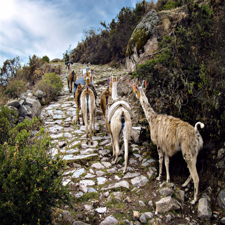 Discover the Qhapaq Ñan: The Inca Road That United an Empire