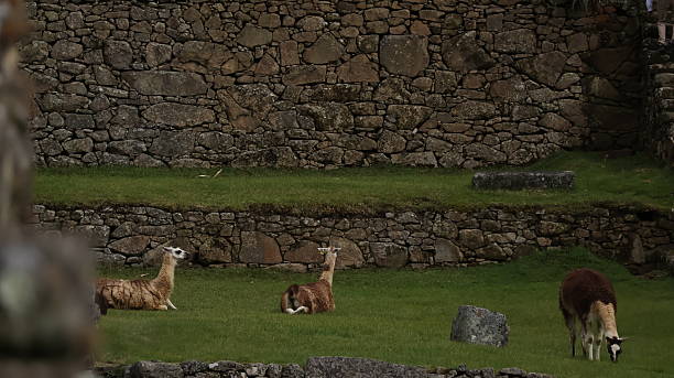 Machu Picchu and the Legacy of the Inca Civilization