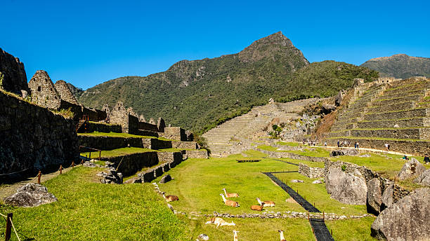 Uncovering Machu Picchu: Archaeology and the Rise of the Incas