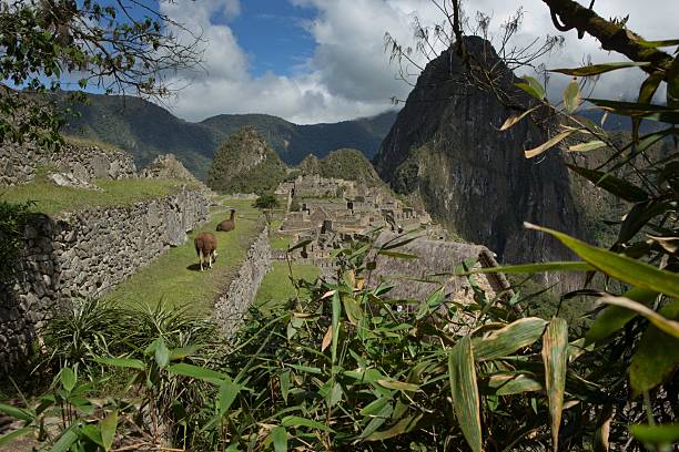 How to Visit Machu Picchu: Tickets, Trails, and Travel Tips