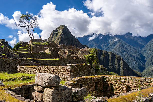 Machu Picchu Travel Guide: History, Hiking, and Hidden Secrets