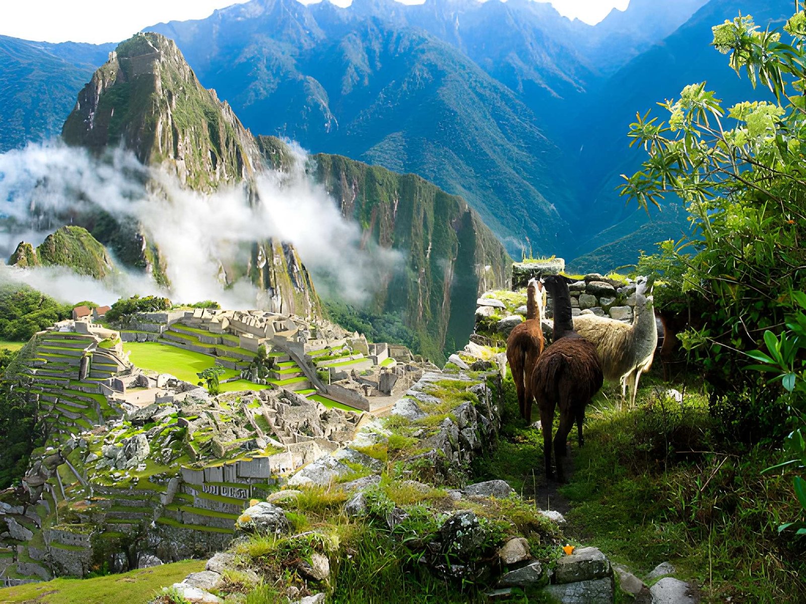 Machu Picchu: A Hidden Treasure of Peru