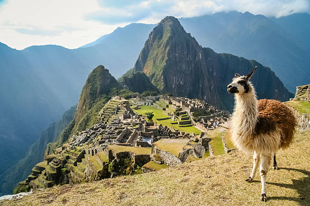 Machu Picchu: The Wonder of the Andes