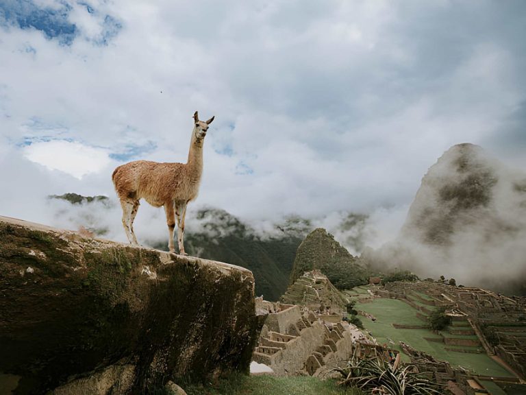 Machu Picchu: How to Prepare for Your Visit